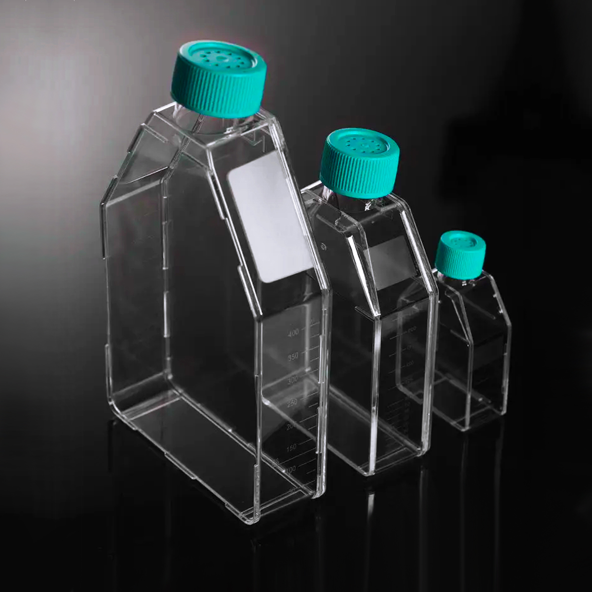 胶原包被培养瓶系列 (Collagen-coated Series)（ T25/T75/T175培养瓶系列）