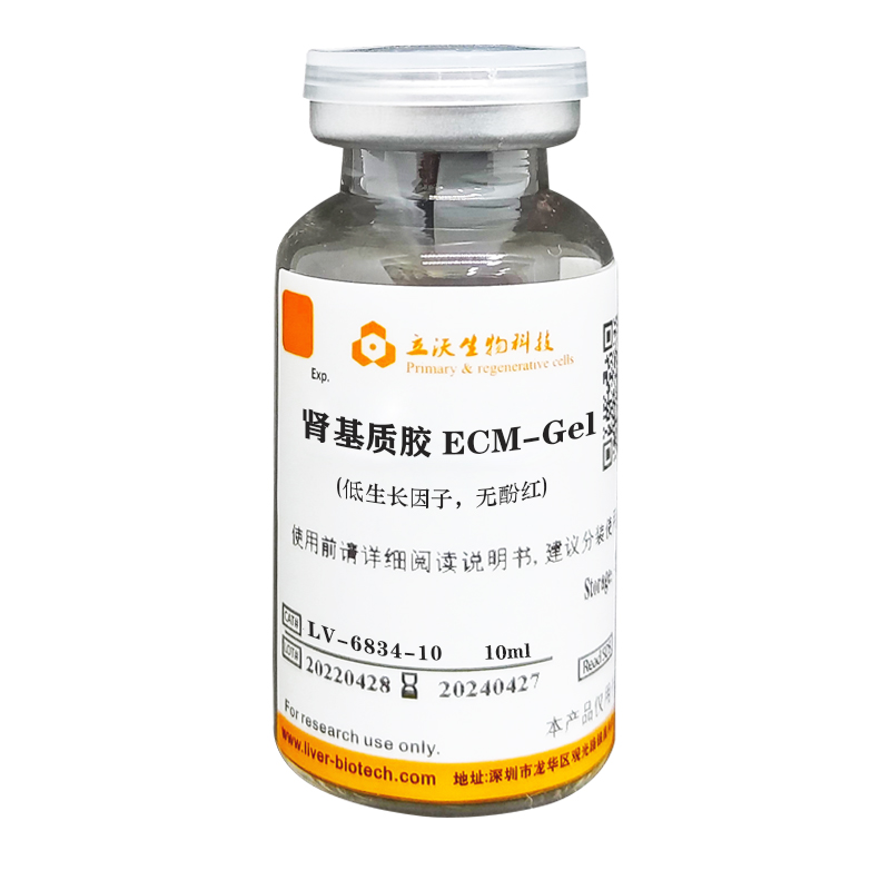 组织特异性 低生长因子 无酚红 肾基质胶 (Tissue-specific Low-growth Factor Pheno-red Free Kidney ECM-gel)