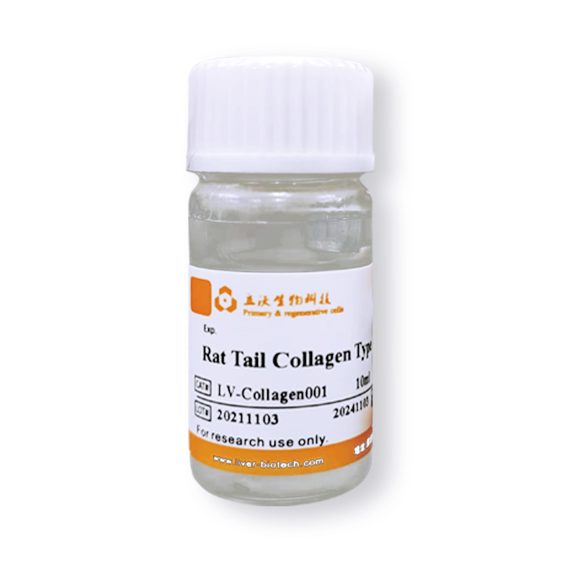 I型鼠尾胶原 (Collagen Type Ⅰ From Rat Tail)