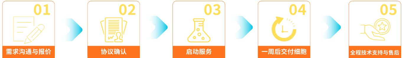 Light Brown and Black Simple Light Marketing Portfolio & Resume Website(1).png