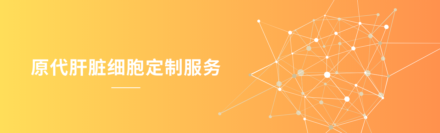 湖蓝几何球体LinkedIn Banner.png