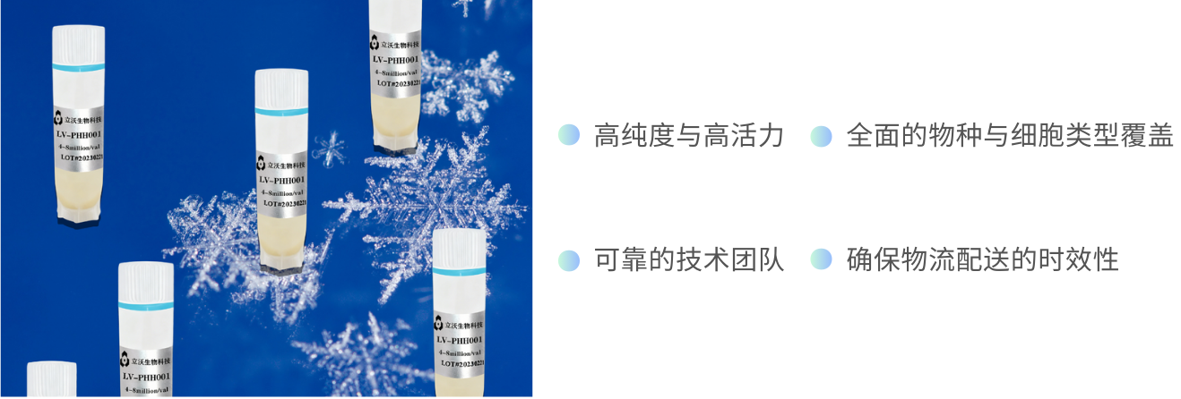 Light Brown and Black Simple Light Marketing Portfolio & Resume Website.png