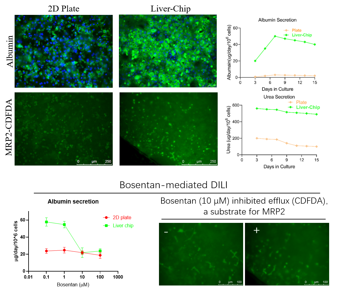 1770261387916552.png 图片1.png